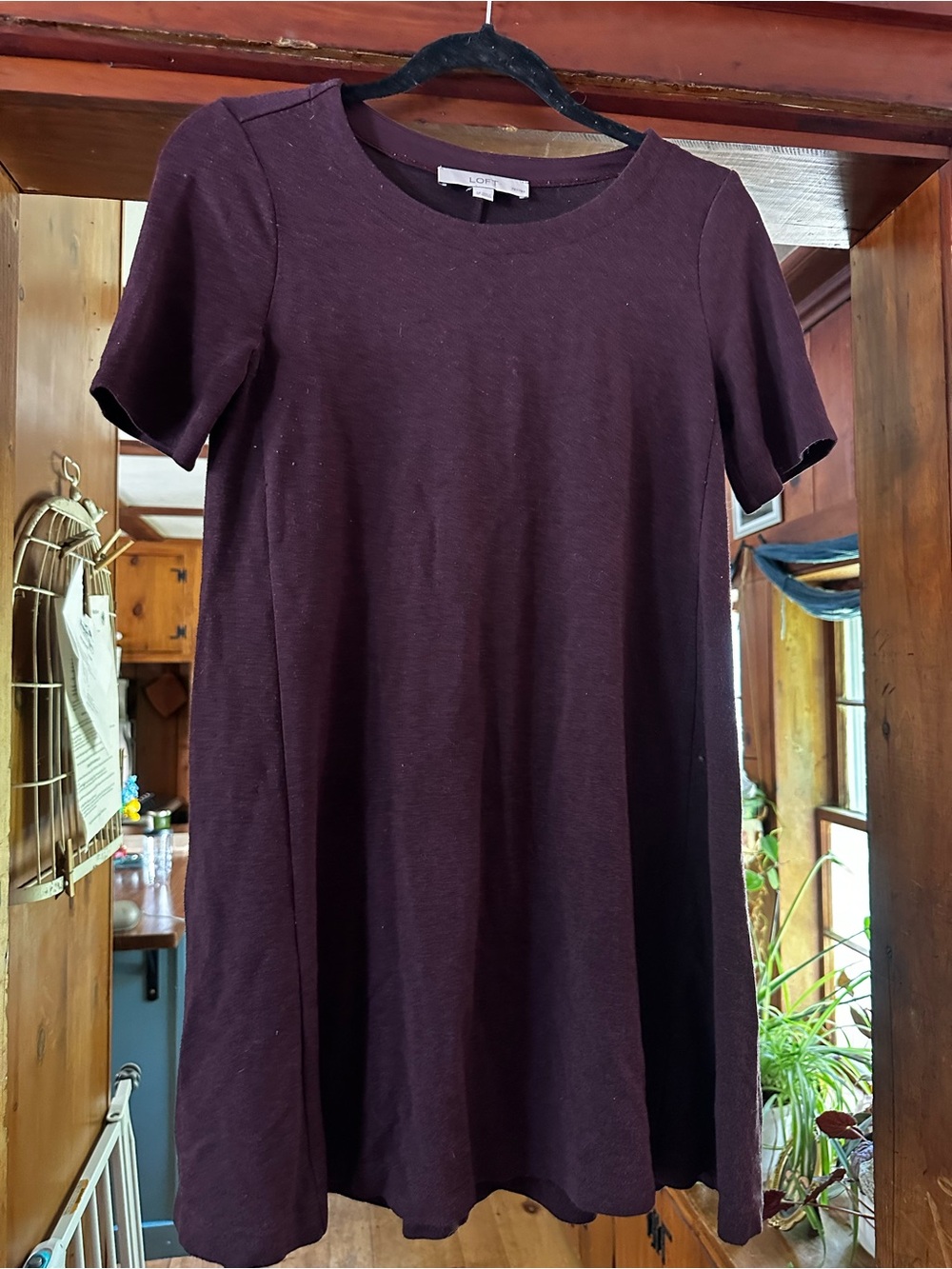 LOFT Short Sleeve A-Line Tunic in Deep Plum
